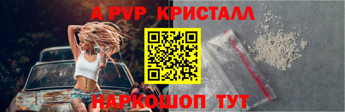 Alfa_PVP СК КРИС Ставрополь