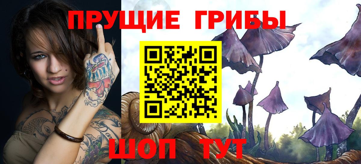 Ставрополь  Псилоцибиновые грибы MAGIC MUSHROOMS  Вход с VPN 