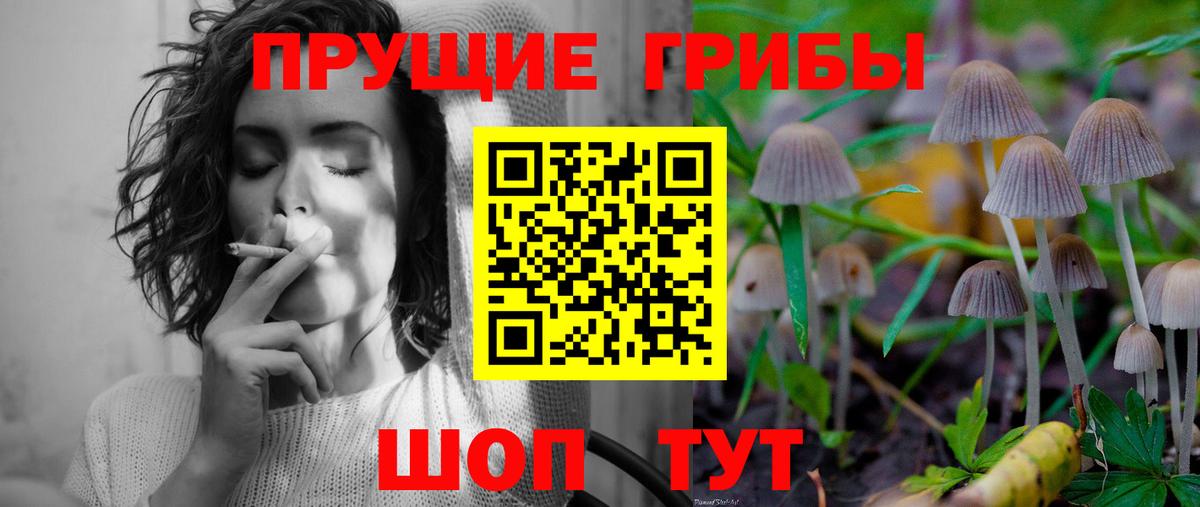 Псилоцибиновые грибы мухоморы Ставрополь